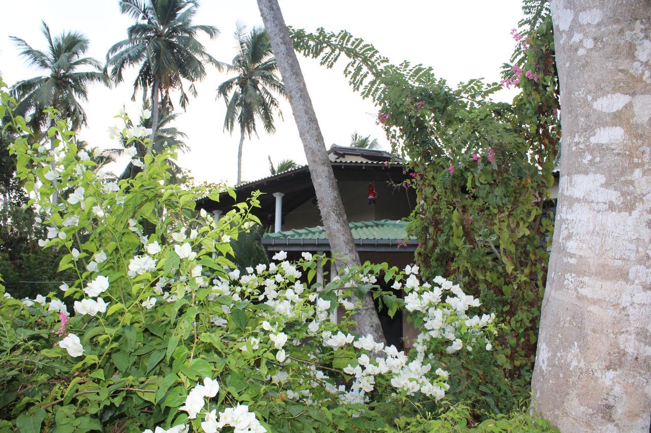 All View Resort Tangalle Exteriör bild